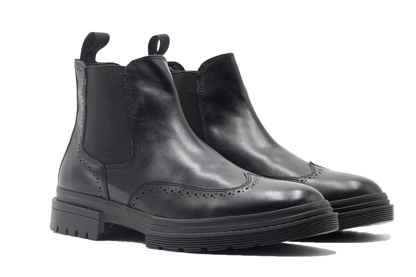 Galgo 3106 Negro