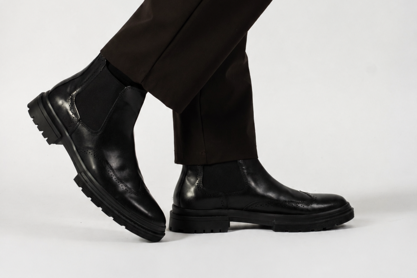Galgo 3106 Negro
